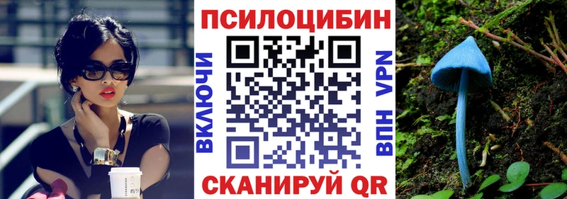 Галлюциногенные грибы Magic Shrooms KRAKEN ONION Апшеронск